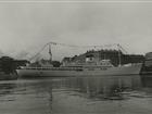Patricia vid Nybrokajen 1951